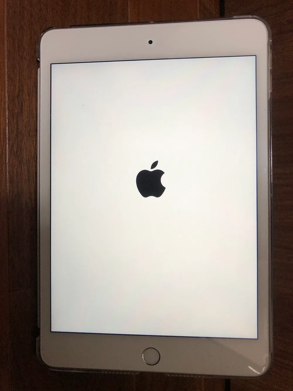 iPad mini (5th generation)